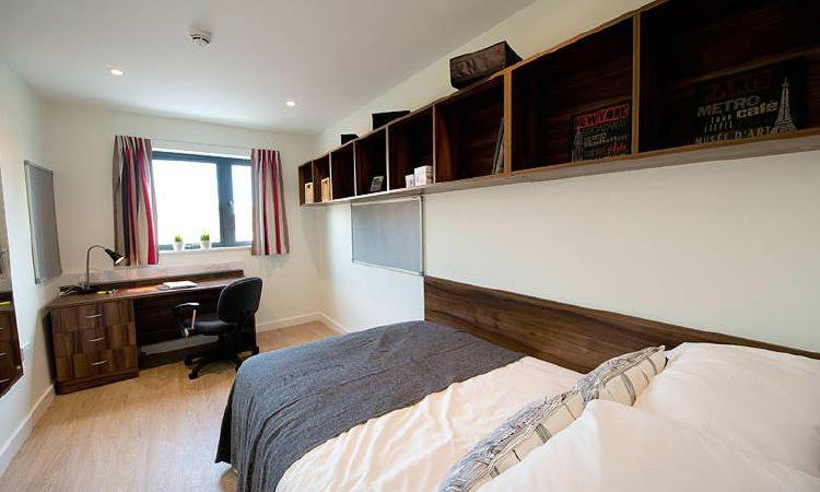 Zeni 3 Bed Apartment In Central Exeter Eksteriør billede